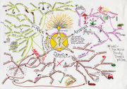 A Hand Drwn Mind Map