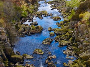 Photograph by Euan Straiton