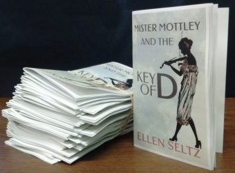 Mister Mottley and the Key of D, by Ellen Seltz